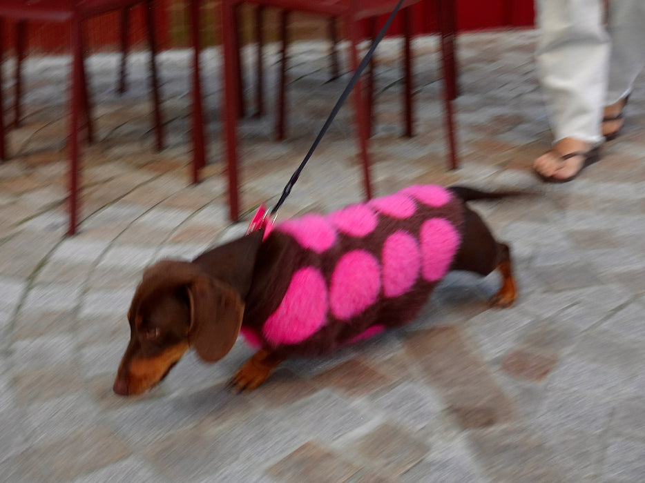 Mocha - Berry
