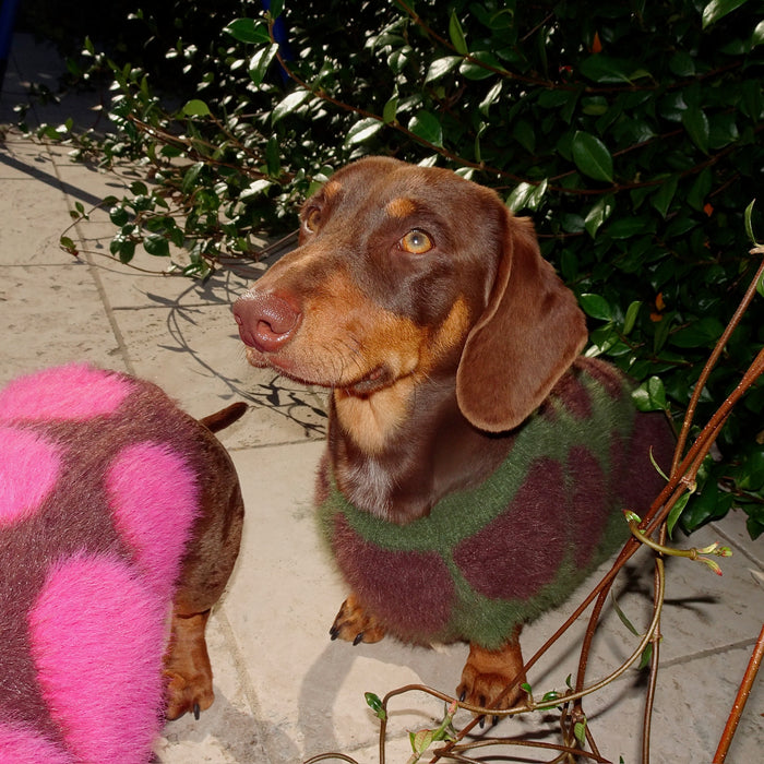 Mocha - Olive