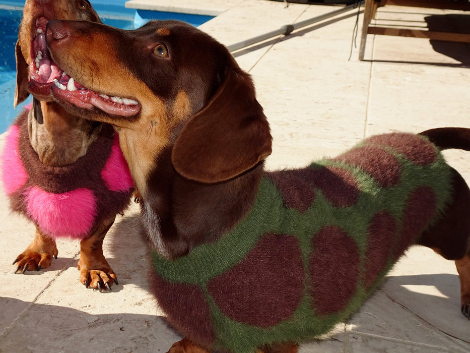 Mocha - Olive