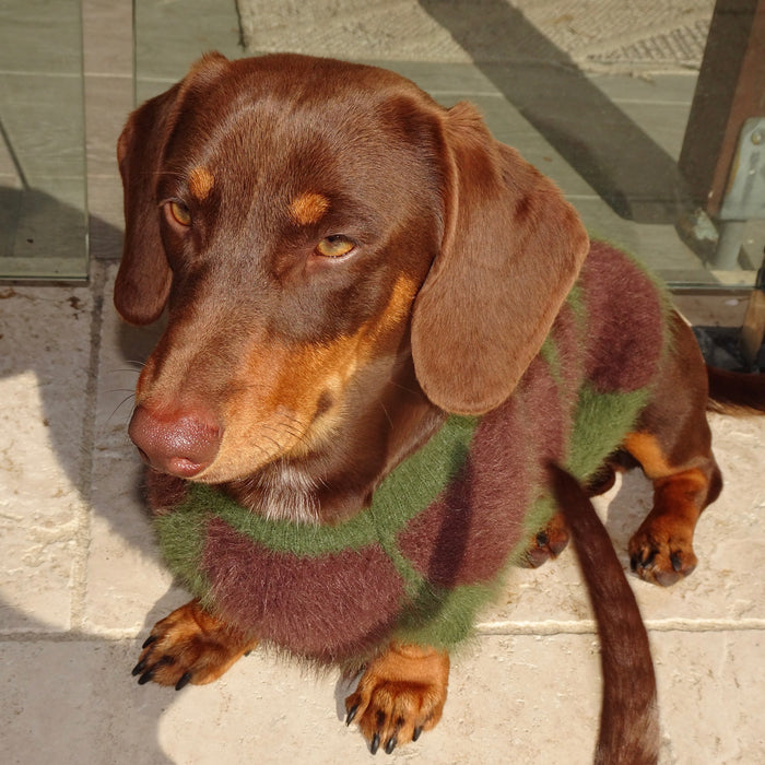 Mocha - Olive
