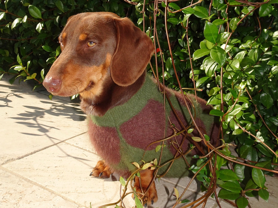 Mocha - Olive
