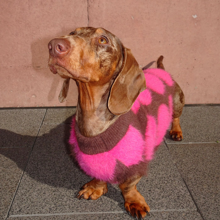 Mocha - Berry