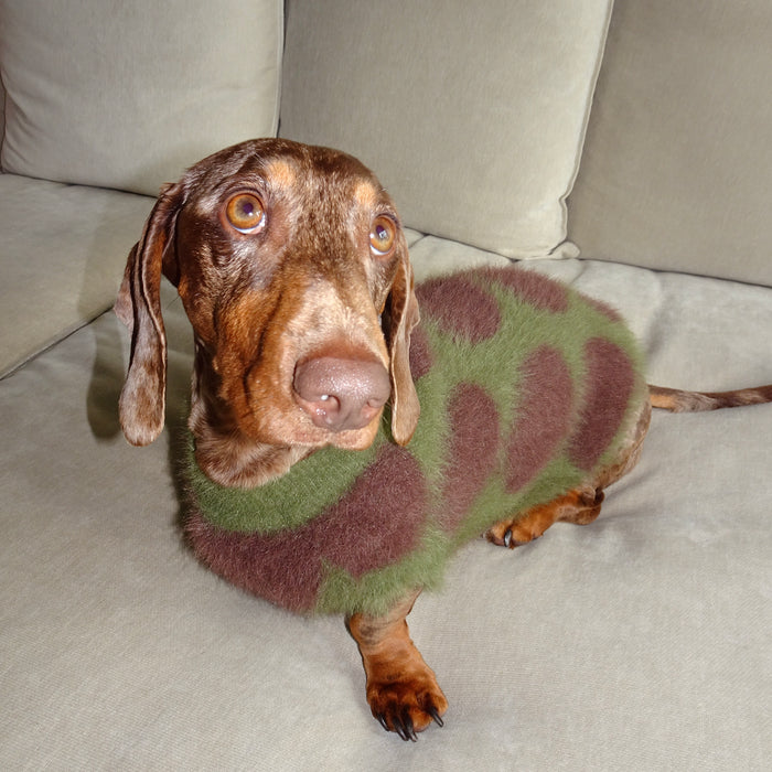Mocha - Olive